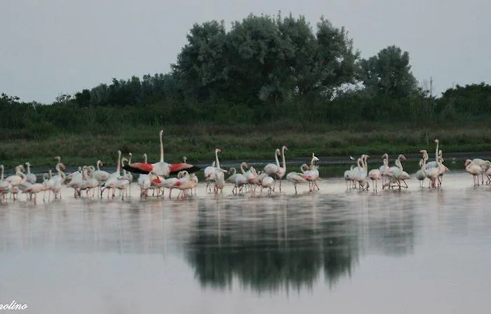 Hotel Ristorante Uspa 2*