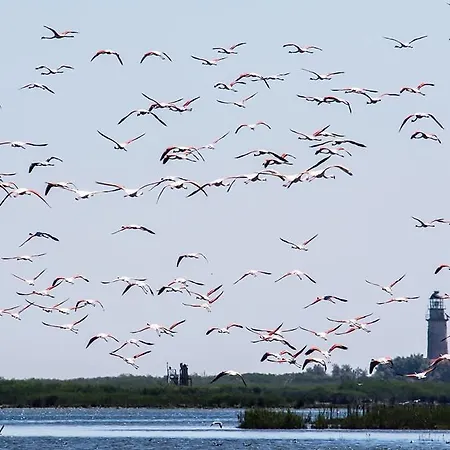 乌斯帕餐厅旅馆 酒店