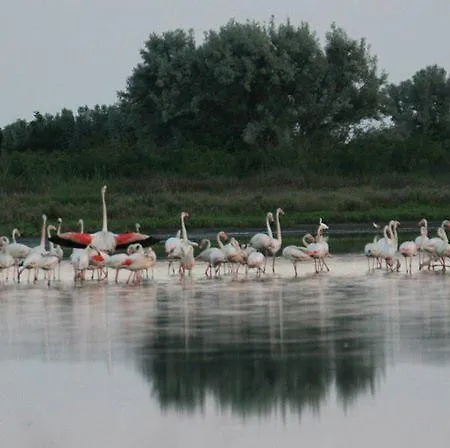 Otel Ristorante Uspa 2*